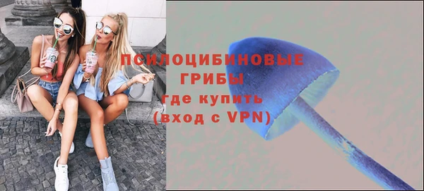 spice Аркадак