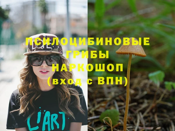 не бодяженный Алексин
